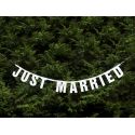 Banner JUST MARRIED