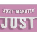 Banner JUST MARRIED